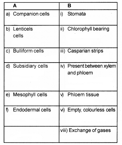 Plus One Botany Chapter Wise Previous Questions Chapter 4 Anatomy of Flowering Plants 4