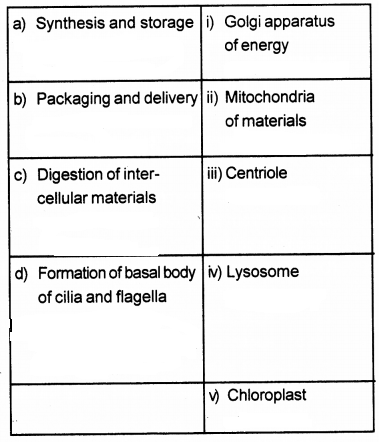 Plus One Botany Chapter Wise Previous Questions Chapter 5 Cell The Unit of Life 12