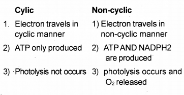 Plus One Botany Chapter Wise Previous Questions Chapter 9 Photosynthesis in Higher Plants 11