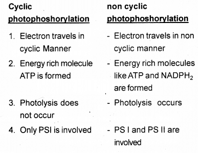 Plus One Botany Chapter Wise Previous Questions Chapter 9 Photosynthesis in Higher Plants 2