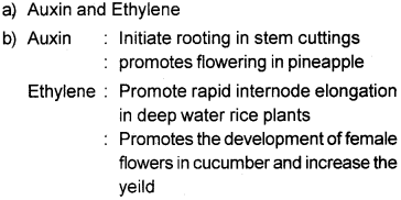Plus One Botany Chapter Wise Questions and Answers Chapter 11 Plant Growth and Development 2M Q14