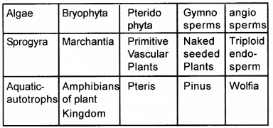 Plus One Botany Chapter Wise Questions and Answers Chapter 2 Plant Kingdom 2M Q30.1