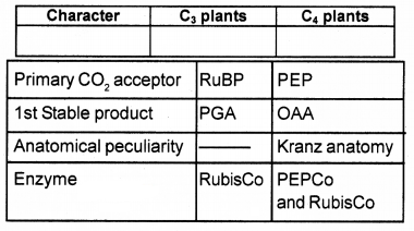 Plus One Botany Chapter Wise Questions and Answers Chapter 9 Photosynthesis in Higher Plants 2M Q11