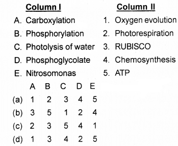 Plus One Botany Chapter Wise Questions and Answers Chapter 9 Photosynthesis in Higher Plants MCQ Q6