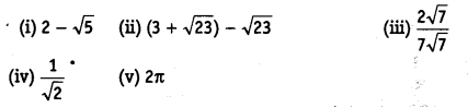 NCERT Solutions for Class 9 Maths Chapter 1 Number Systems Ex 1.5.1