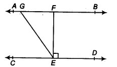 NCERT Solutions for Class 9 Maths Chapter 4 Lines and Angles Ex 4.2.4