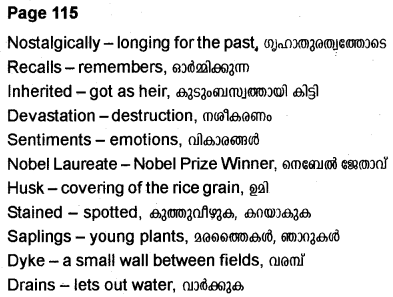 Plus Two English Textbook Answers Unit 4 Chapter 2 Rice (Poem) 6
