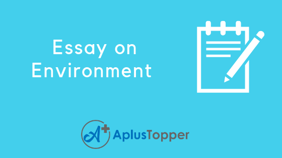 environment essay videos