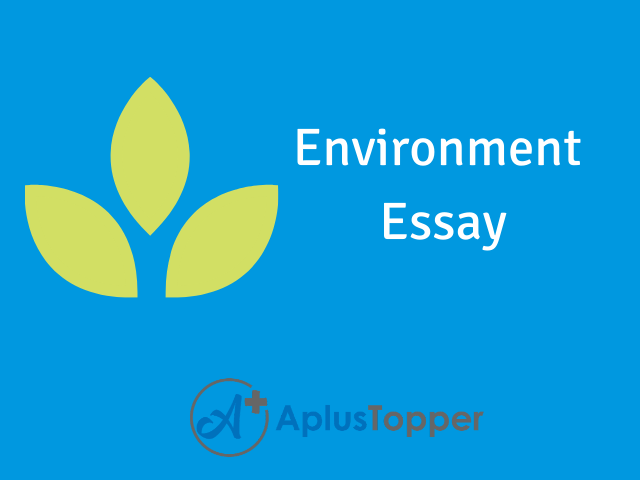 environment essay videos