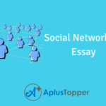 Social Networking Essay