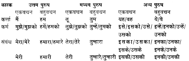 Examples Of Sarvanam In Hindi