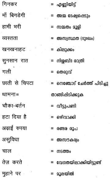 Plus One Hindi Textbook Answers Unit 3 Chapter 12 दुःख 28