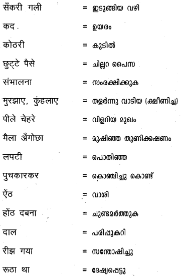 Plus One Hindi Textbook Answers Unit 3 Chapter 12 दुःख 29