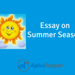 Essay On Summer Season