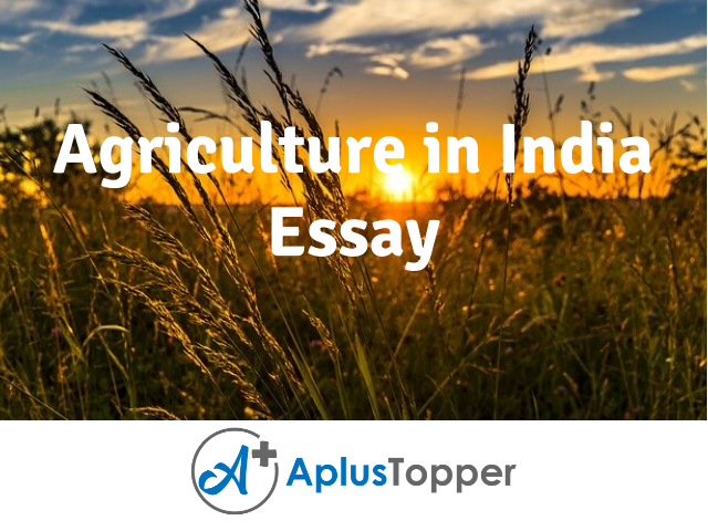 essay on agriculture of india