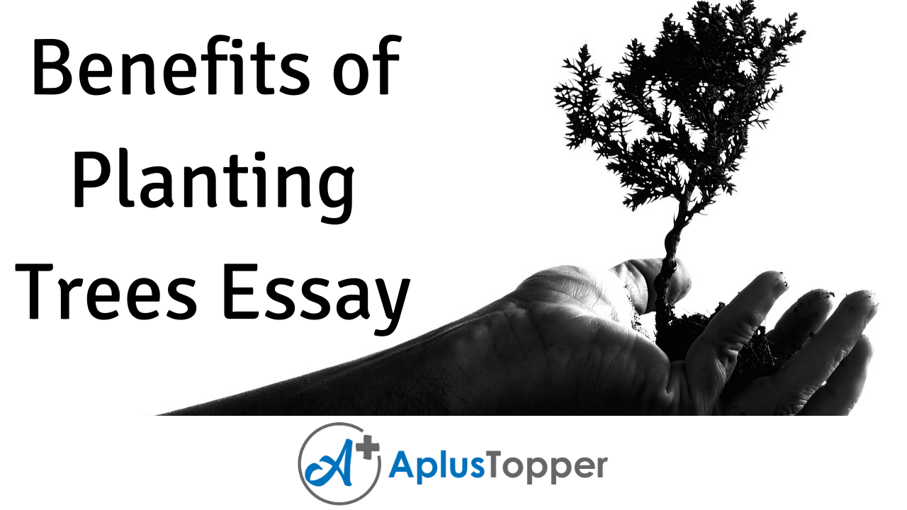 advantages of tree essay