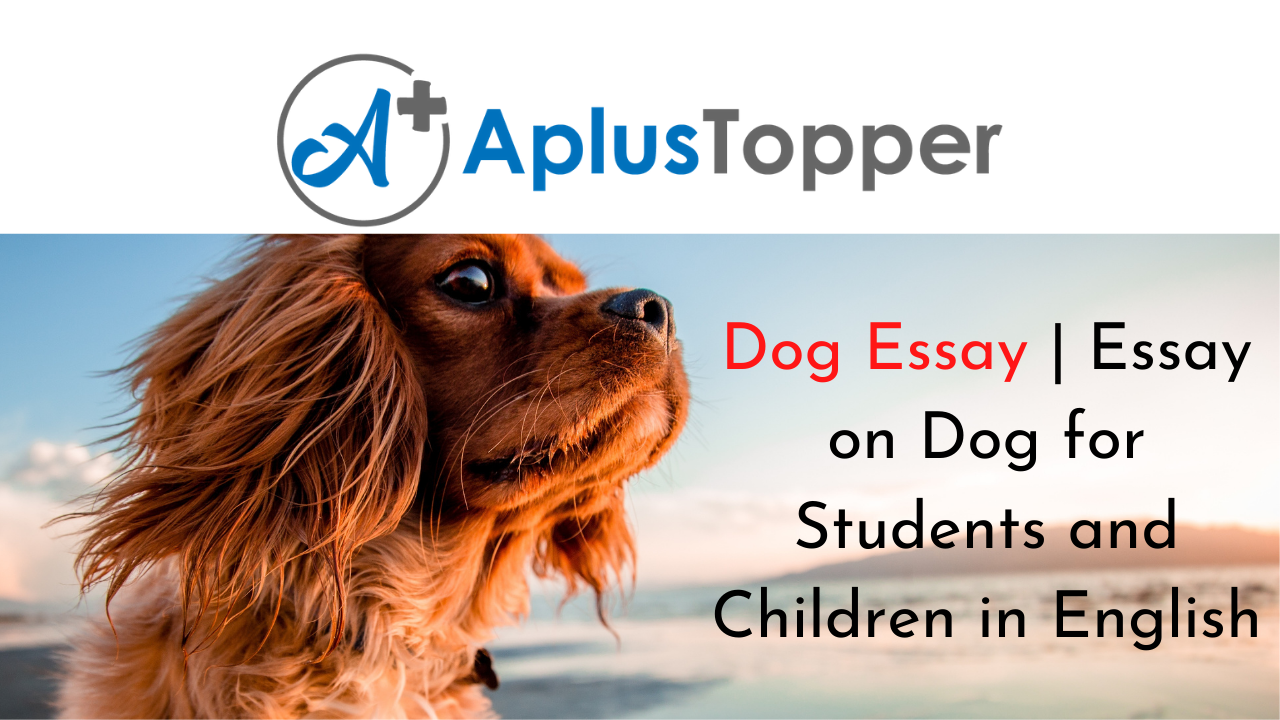 Dog Essay | Essay on Dog for Students and Children in English - A Plus  Topper