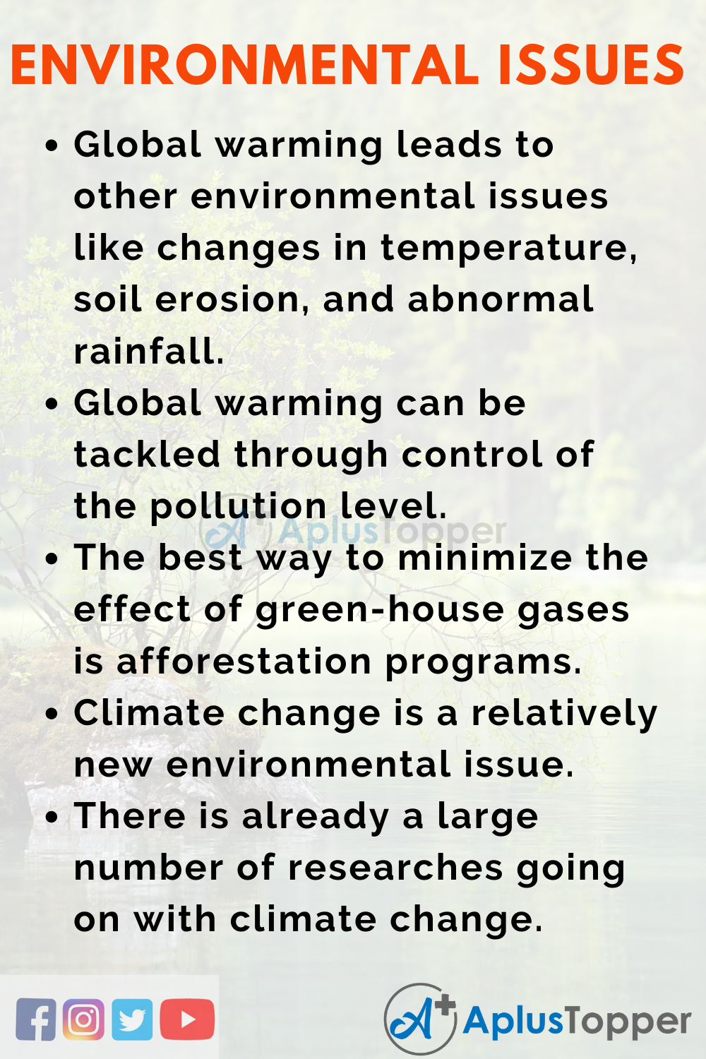 Environmental issues Essay