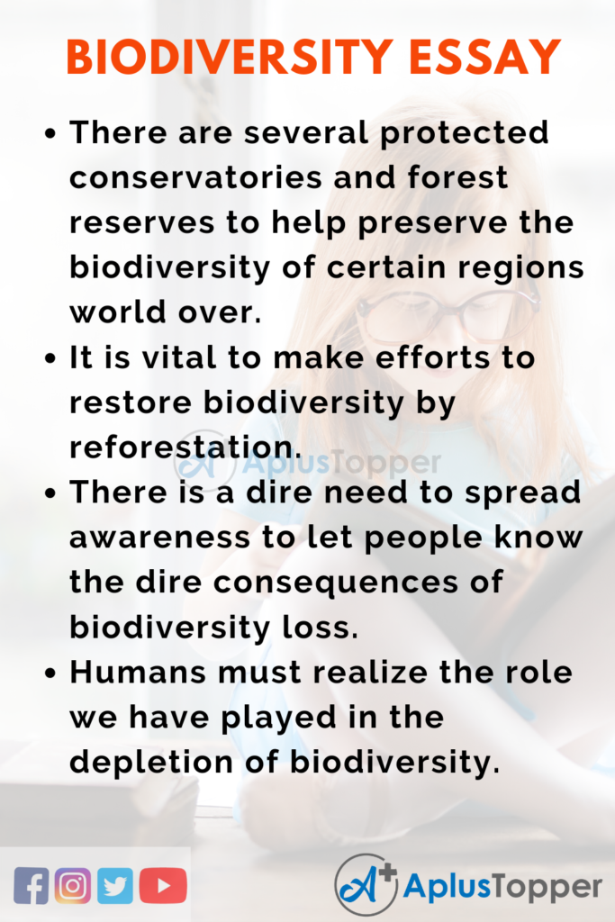 biodiversity essay 100 words