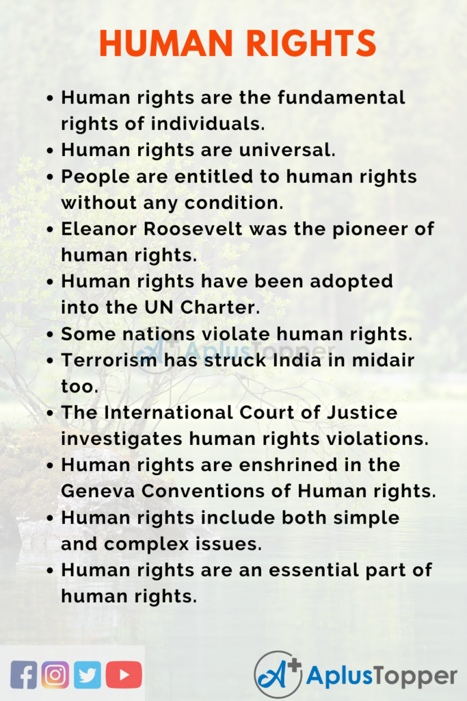 importance of human rights to law enforcement essay