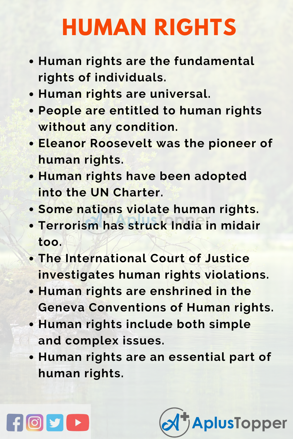 human rights topics for essays