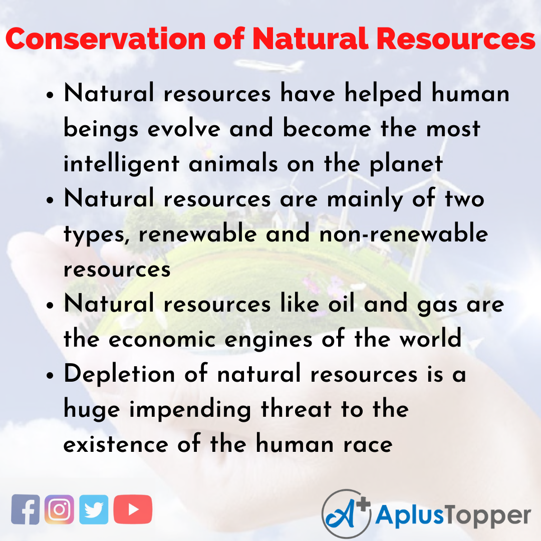 Essay about Conservation of Natural Resources