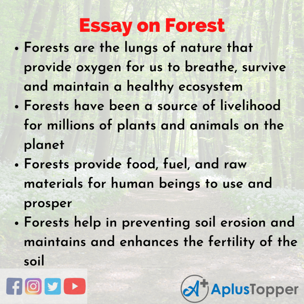 easy essay on forest
