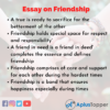 essay on friendship for class 9