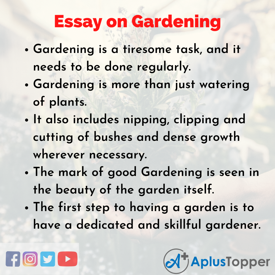my garden essay for class 4
