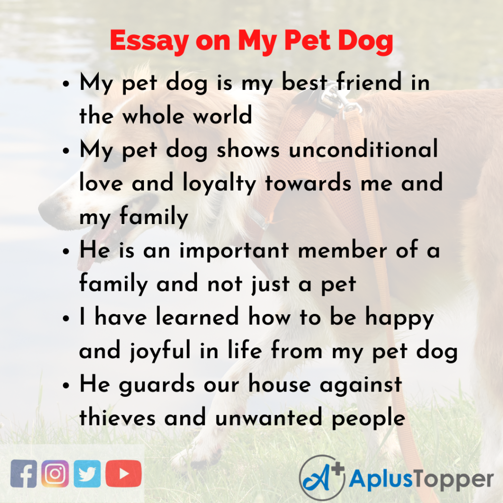 the dog essay for class 6