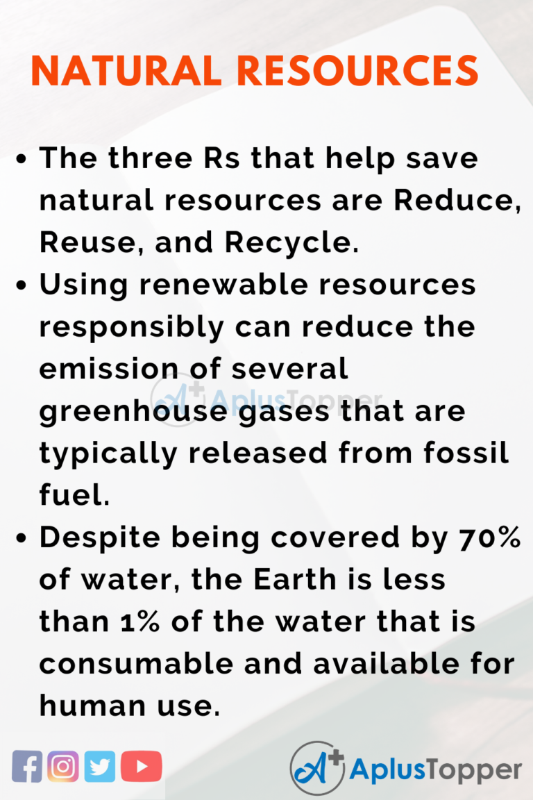 importance of natural resources in our life essay