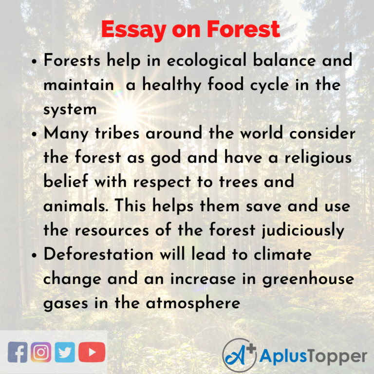 easy essay on forest