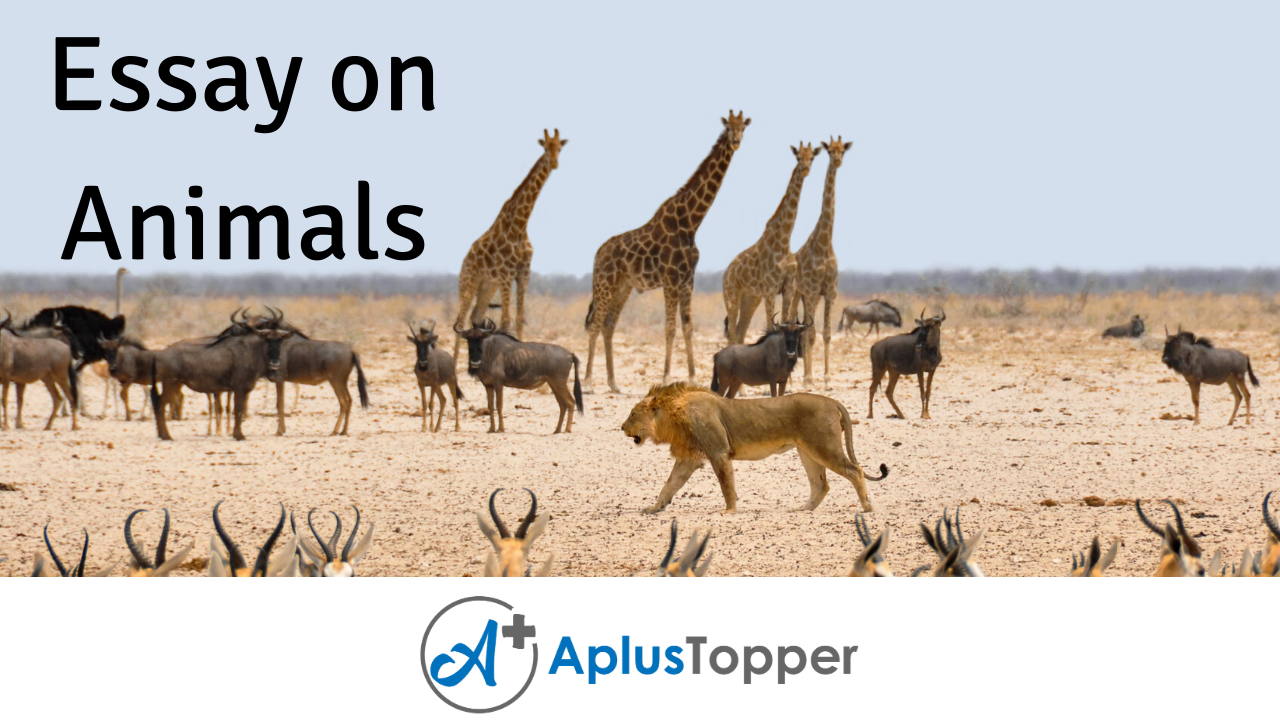 Essay on Animals | Animals Essay for Students and Children in English - A  Plus Topper