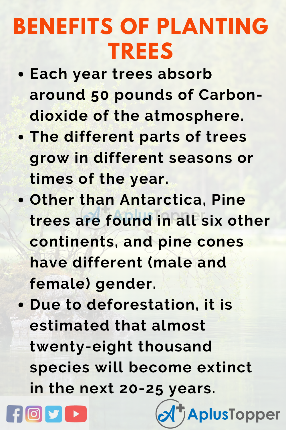 short note on tree plantation