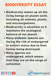 Biodiversity essay