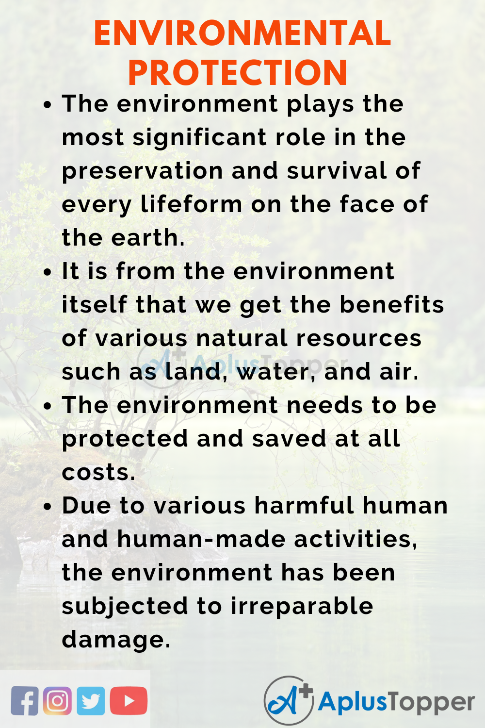 Essay on Environmental Protection