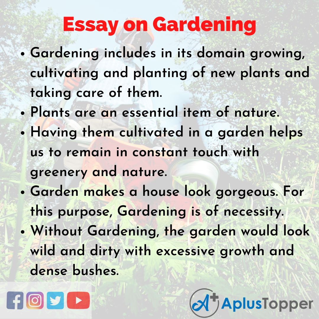 my hobby gardening essay for class 3