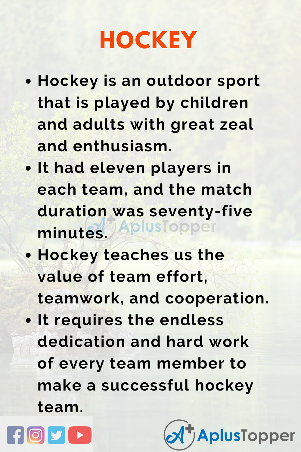 Essay on Hockey