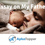 Essay on My Father