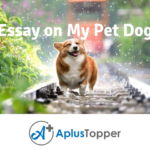 Essay on My Pet Dog