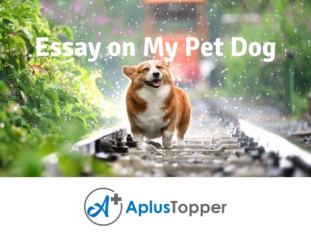 Essay on My Pet Dog | My Pet Dog Essay in English for Students and Children  - A Plus Topper