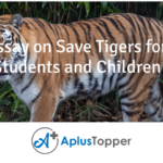 Essay on Save Tigers