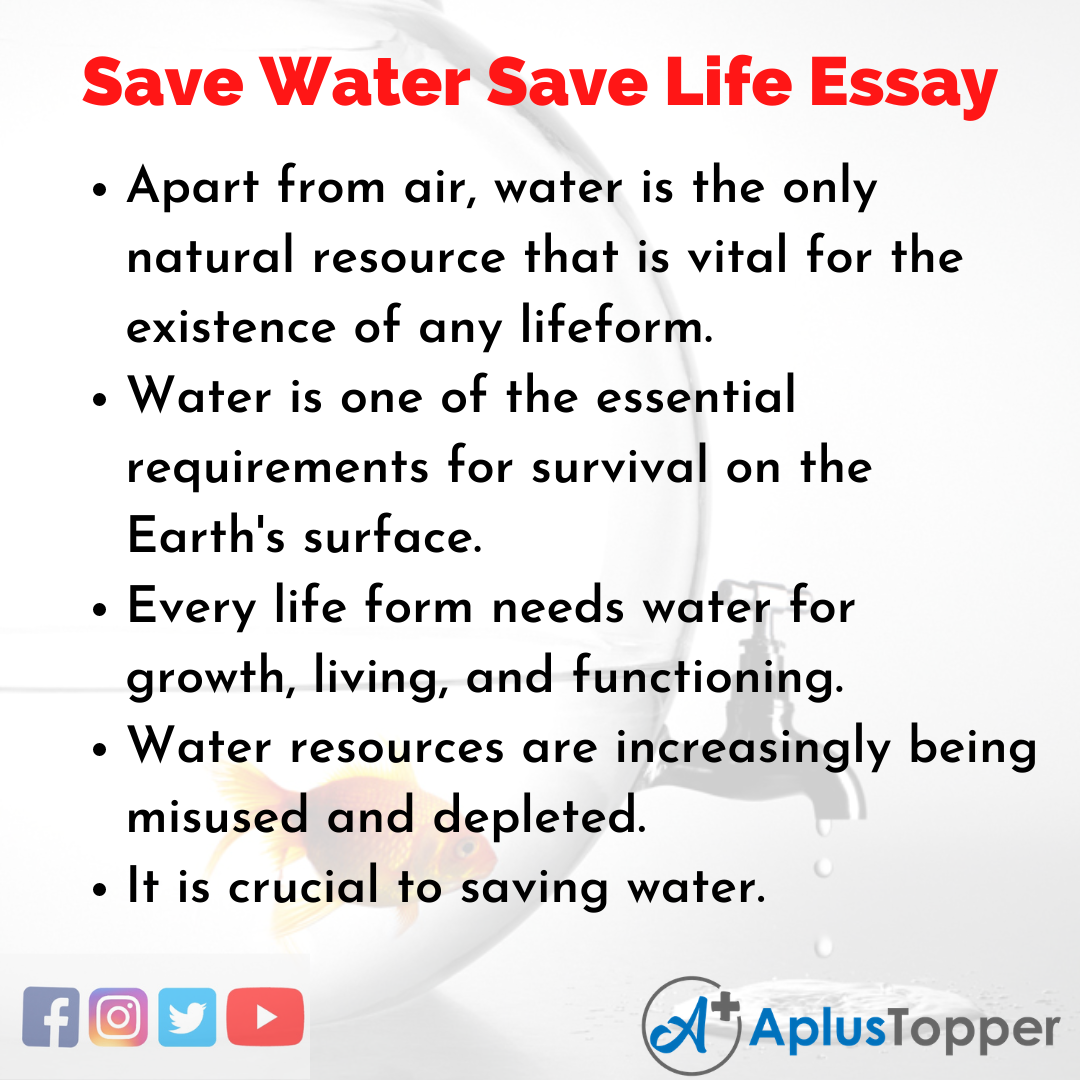 uses of water in our daily life essay