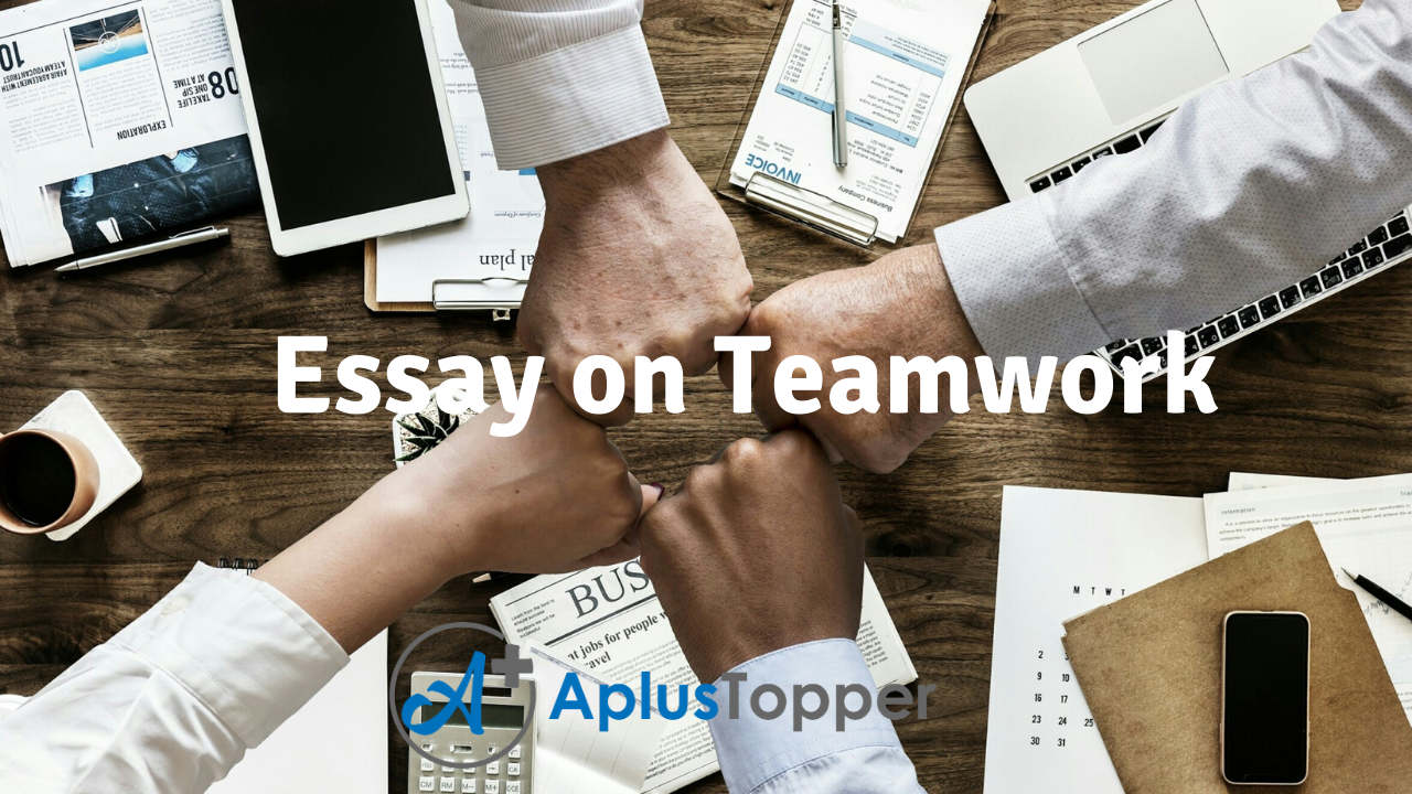 team building experience essay