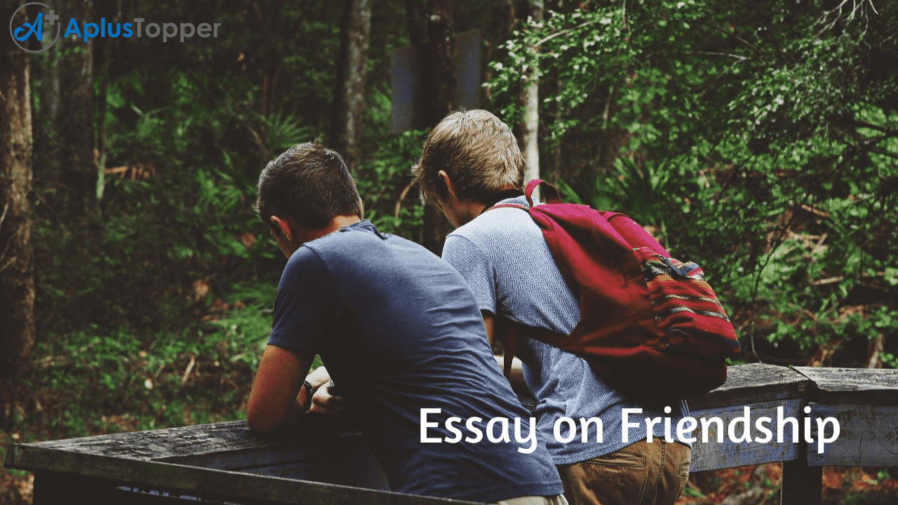 true meaning of friendship essay