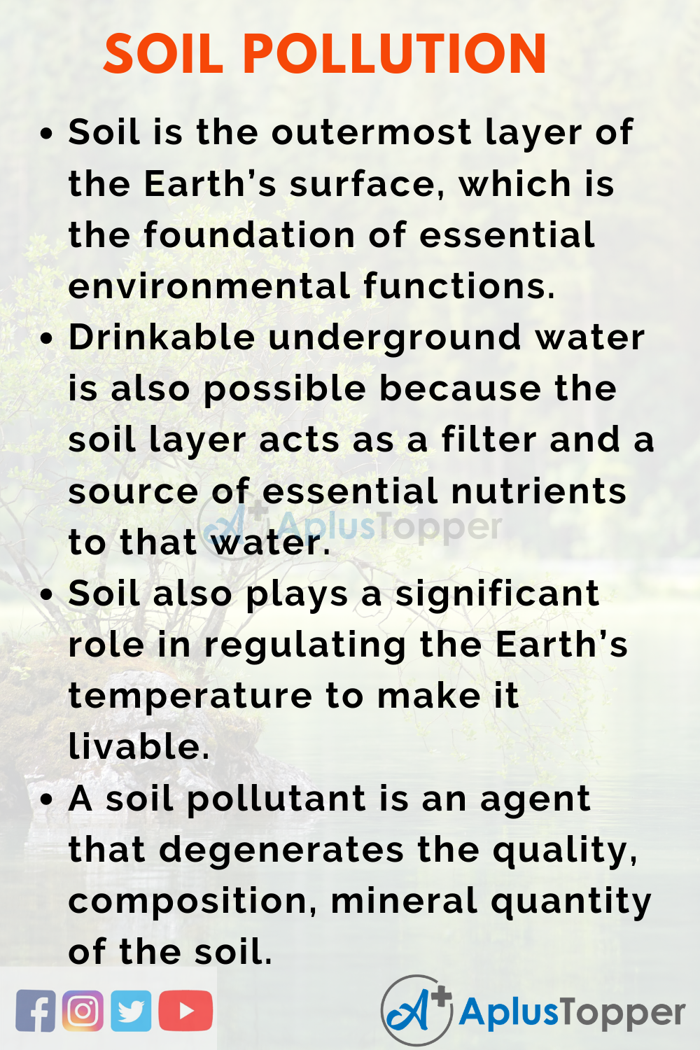 Esssay about Soil Pollution