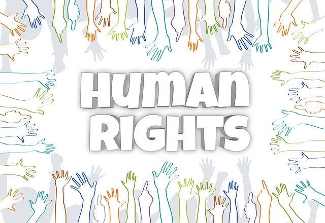 Human Rights Essay