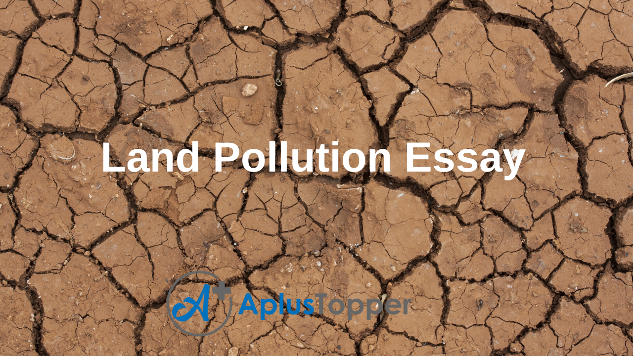 pollution essay with outline