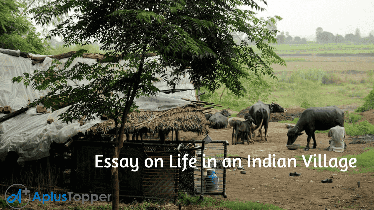 essay on a village life