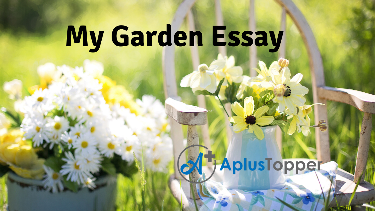 My Garden Essay Essay On My Garden For Students And Children In English A Plus Topper